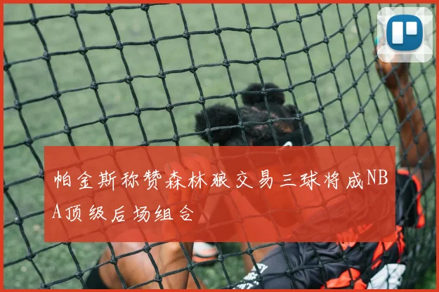 帕金斯称赞森林狼交易三球将成NBA顶级后场组合